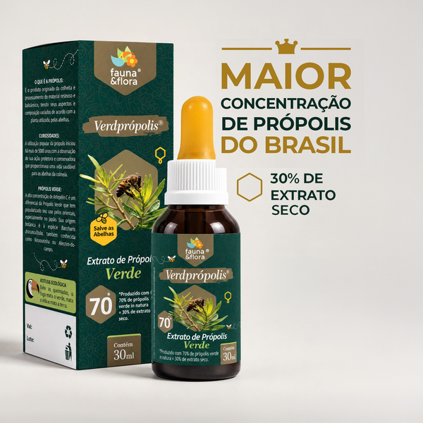Própolis